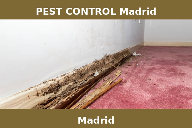 PEST CONTROL Madrid